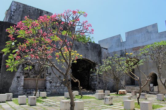 Tour image 5