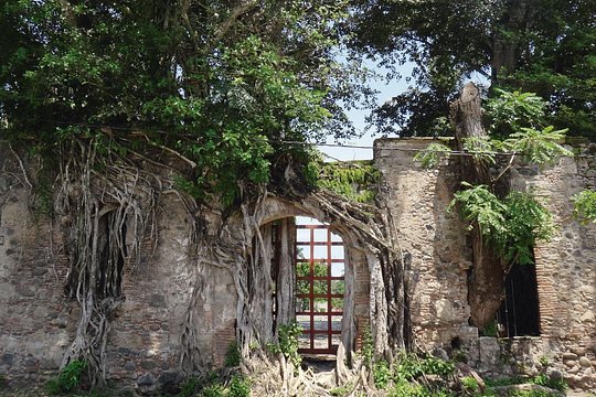 Tour image 4