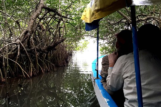 Tour image 5
